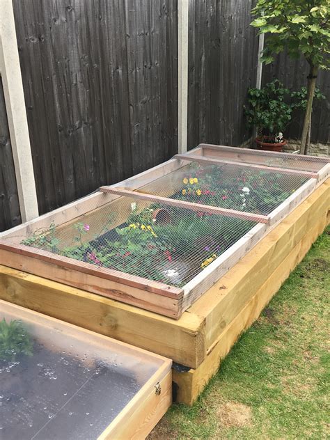 tortoise roof over enclosure